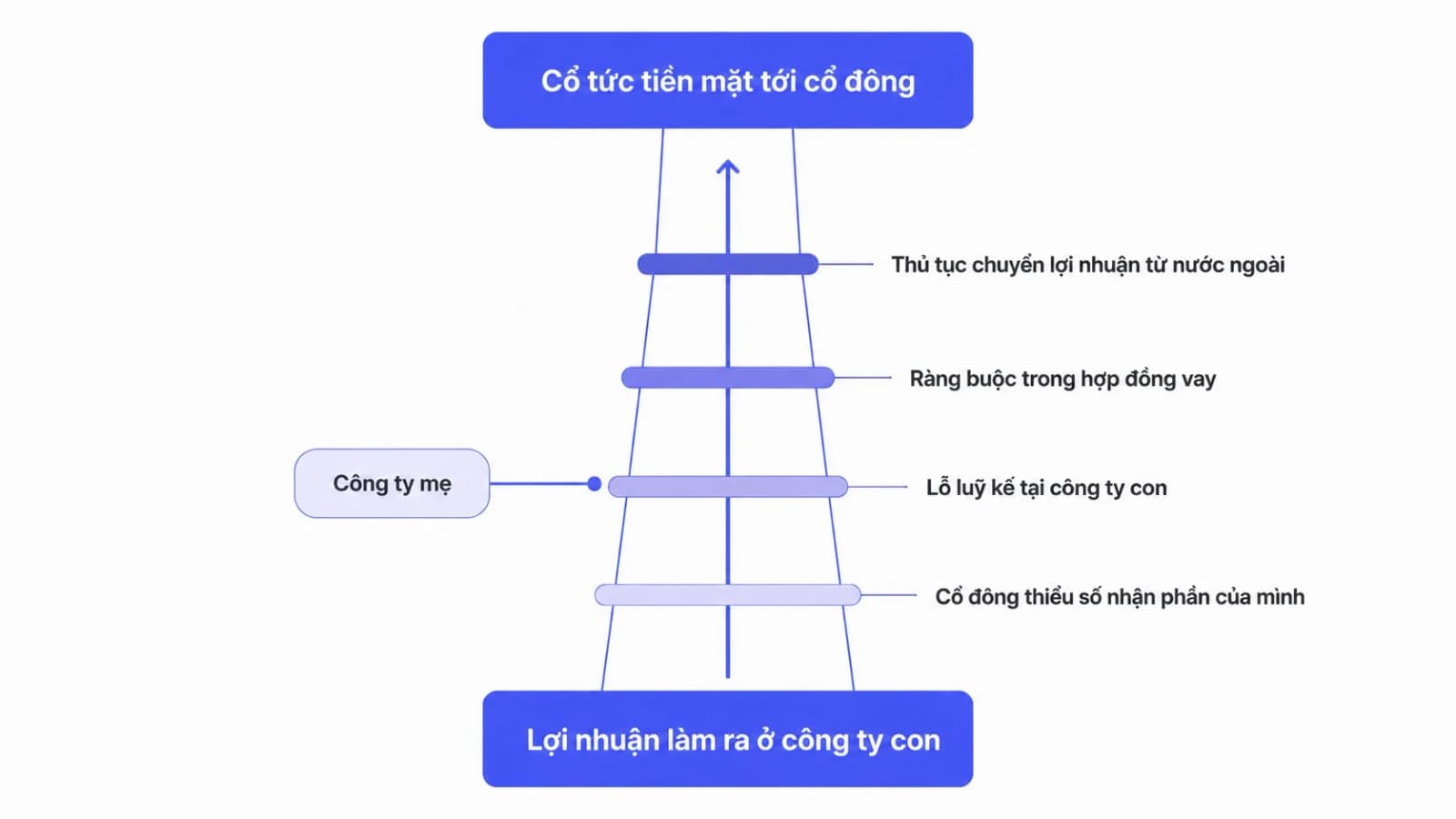 Sơ đồ dòng lợi nhuận đi từ công ty con lên công ty mẹ rồi ra cổ đông, với các chốt chặn đặt trên đường đi gồm cổ đông thiểu số, lỗ luỹ kế, ràng buộc hợp đồng vay và thủ tục chuyển lợi nhuận từ nước ngoài