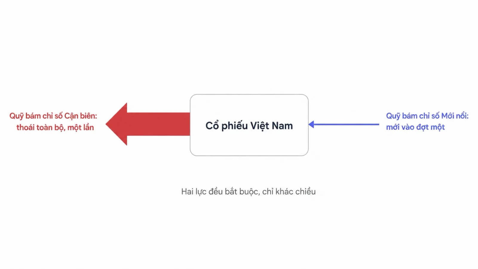 Sơ đồ hai chiều ngược nhau ở đợt đầu tiên: nhóm quỹ bám chỉ số Cận biên thoái toàn bộ một lần, nhóm quỹ bám chỉ số Mới nổi mới vào một phần nhỏ
