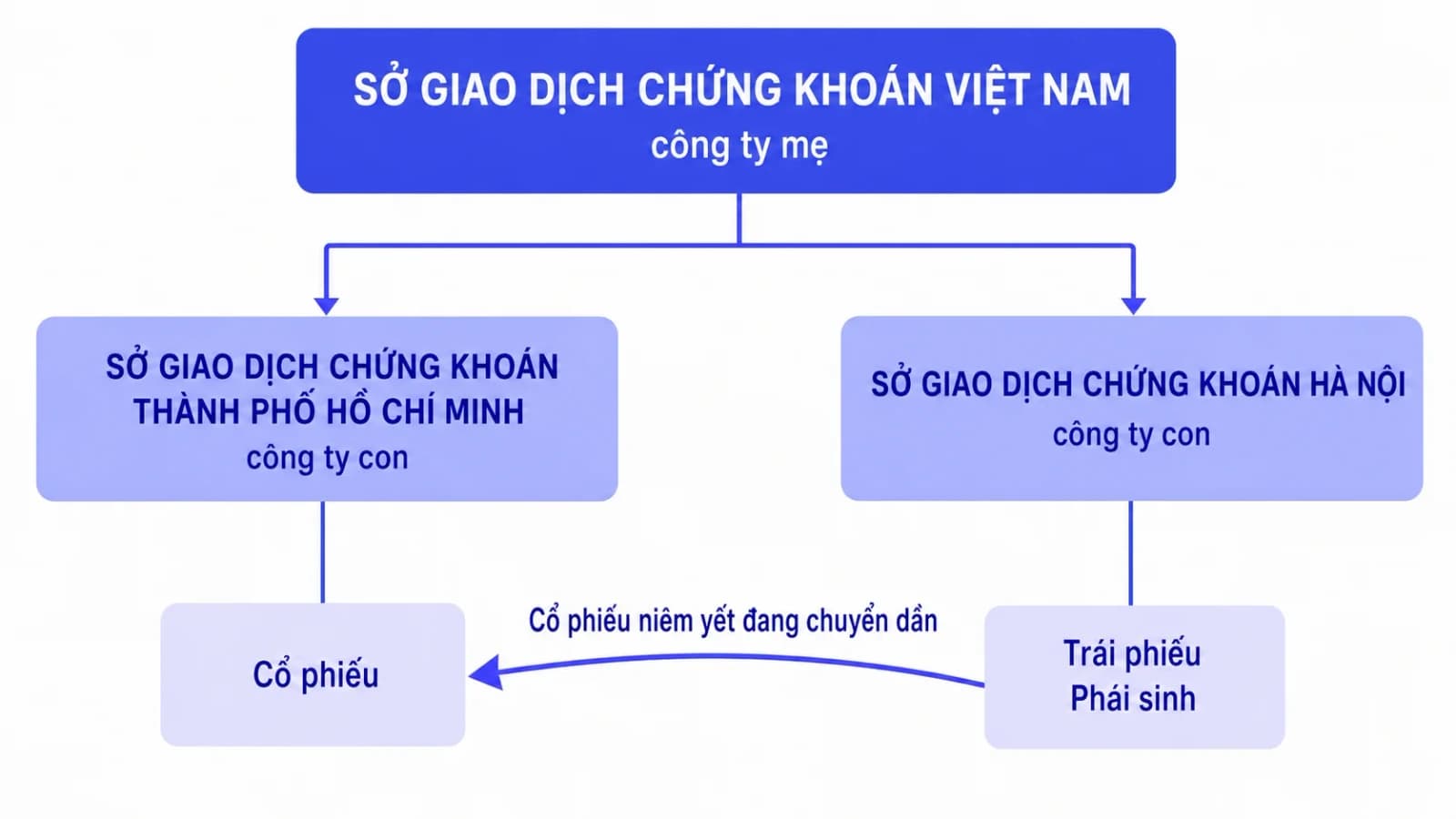 Sơ đồ cấu trúc công ty mẹ và công ty con của Sở Giao dịch Chứng khoán Việt Nam, khối VNX ở trên nối xuống hai khối HOSE và HNX, kèm mũi tên lộ trình chuyển cổ phiếu niêm yết từ HNX sang HOSE