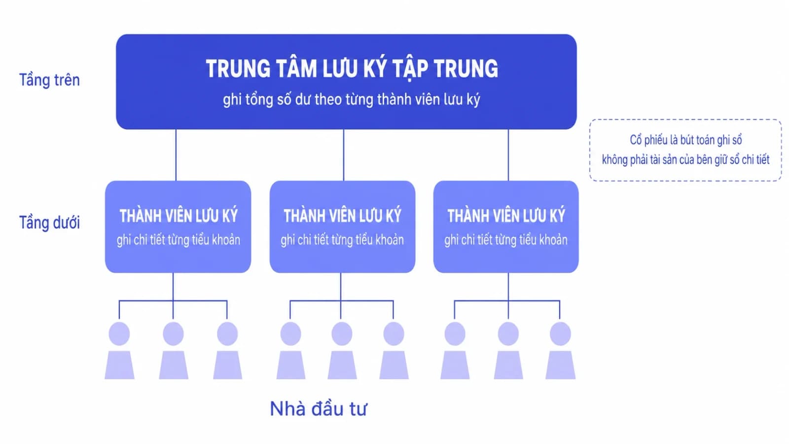 Sơ đồ lưu ký hai cấp, tầng trên là trung tâm lưu ký giữ tổng số dư của từng thành viên lưu ký, tầng dưới là các thành viên lưu ký giữ tiểu khoản chi tiết của từng nhà đầu tư